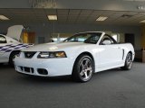 2004 Oxford White Ford Mustang Cobra Convertible #74973810