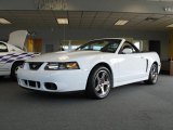 2004 Ford Mustang Cobra Convertible Front 3/4 View