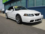 2004 Ford Mustang Cobra Convertible Front 3/4 View