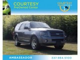 2010 Sterling Grey Metallic Ford Expedition Limited #74973519