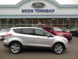 2013 Ingot Silver Metallic Ford Escape SE 2.0L EcoBoost 4WD #75021287