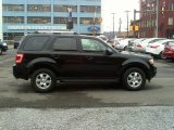 2010 Ford Escape Limited V6 4WD