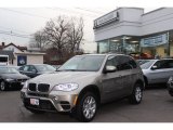 2012 Platinum Bronze Metallic BMW X5 xDrive35i Premium #75021131