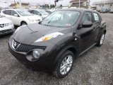 2013 Nissan Juke S AWD Front 3/4 View