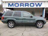 2004 Onyx Green Pearl Jeep Grand Cherokee Limited 4x4 #75021224