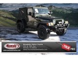 2005 Moss Green Pearlcoat Jeep Wrangler Willys Edition 4x4 #75073673