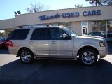 2007 Pueblo Gold Metallic Ford Expedition Limited #75074113