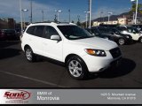 2007 Arctic White Hyundai Santa Fe SE #75123314