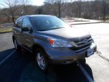 2010 Urban Titanium Metallic Honda CR-V EX #75123431