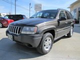 2004 Jeep Grand Cherokee Laredo Front 3/4 View