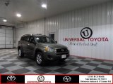 2010 Pyrite Metallic Toyota RAV4 V6 4WD #75194090