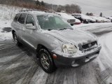 2004 Pewter Hyundai Santa Fe GLS 4WD #75194162