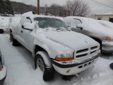 Bright White Dodge Dakota in 2003