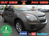 2010 Cyber Gray Metallic Chevrolet Equinox LS #75226952