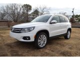 2013 Volkswagen Tiguan SE