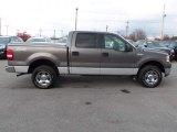 Dark Shadow Grey Metallic Ford F150 in 2005