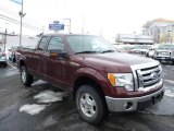 2010 Ford F150 XLT SuperCab 4x4