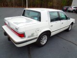 1993 Dodge Dynasty LE Sedan Exterior