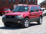 2005 Redfire Metallic Ford Escape XLT V6 4WD #7481879