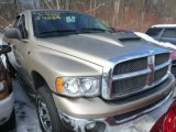 2004 Light Almond Pearl Dodge Ram 1500 SLT Quad Cab 4x4 #75394433