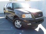 2005 Estate Green Metallic Ford Expedition XLT #75394477