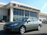 2006 Oasis Green Pearl Lexus ES 330 #7480248