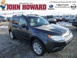 2013 Dark Gray Metallic Subaru Forester 2.5 X Premium #75457643