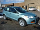 2013 Frosted Glass Metallic Ford Escape S #75524362