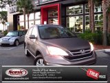 2010 Urban Titanium Metallic Honda CR-V EX-L #75570152