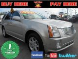 2005 Light Platinum Cadillac SRX V6 #75612386