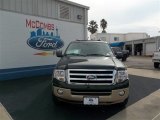 2013 Green Gem Ford Expedition XLT #75611847