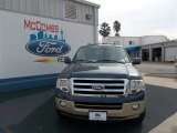 2013 Blue Jeans Ford Expedition XLT #75611846