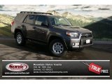 2013 Magnetic Gray Metallic Toyota 4Runner Trail 4x4 #75611698