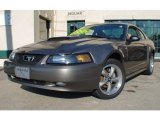 2001 Mineral Grey Metallic Ford Mustang GT Coupe #75611915