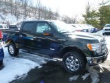 2013 Green Gem Metallic Ford F150 XLT SuperCrew 4x4 #75669515