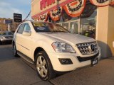 2009 Mercedes-Benz ML 350 4Matic