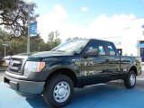 2013 Green Gem Metallic Ford F150 XL SuperCab #75726446