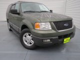 2004 Estate Green Metallic Ford Expedition XLT #75726706