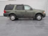 Estate Green Metallic Ford Expedition in 2004