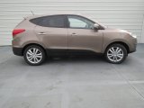 Chai Bronze Hyundai Tucson in 2013