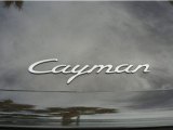 2008 Porsche Cayman  Marks and Logos