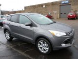 2013 Sterling Gray Metallic Ford Escape SEL 2.0L EcoBoost 4WD #75787586