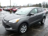 Sterling Gray Metallic Ford Escape in 2013