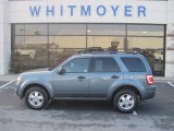 2011 Steel Blue Metallic Ford Escape XLT 4WD #75787696