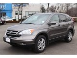 2010 Urban Titanium Metallic Honda CR-V EX-L AWD #75786933