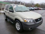 Gold Ash Metallic Ford Escape in 2005