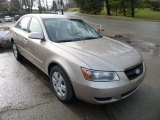 2008 Hyundai Sonata GLS