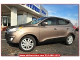 2013 Chai Bronze Hyundai Tucson Limited #75871363