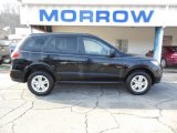 2010 Phantom Black Metallic Hyundai Santa Fe GLS 4WD #75880786