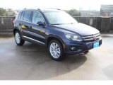 2013 Night Blue Metallic Volkswagen Tiguan SE #75881169